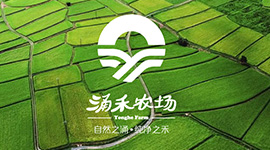 涌禾農(nóng)場品牌全案策劃設(shè)計