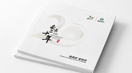 豪森醫(yī)藥20周年慶企業(yè)紀(jì)念宣傳畫冊設(shè)計