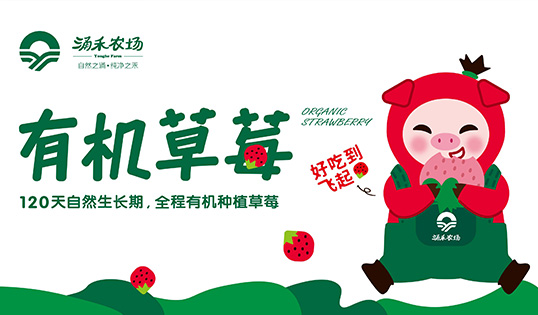 涌禾農(nóng)場有機草莓品牌全案策劃設(shè)計IP吉祥物設(shè)計