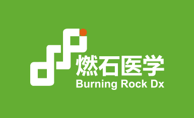 燃石醫(yī)學(xué)醫(yī)療品牌形象vi設(shè)計