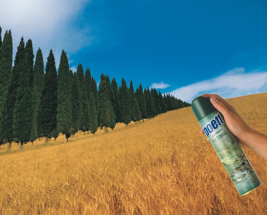 空氣清新劑廣告創(chuàng)意欣賞2