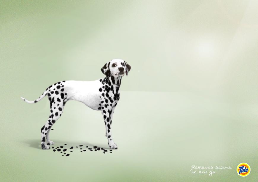 汰漬洗衣粉廣告創(chuàng)意設(shè)計(jì)2