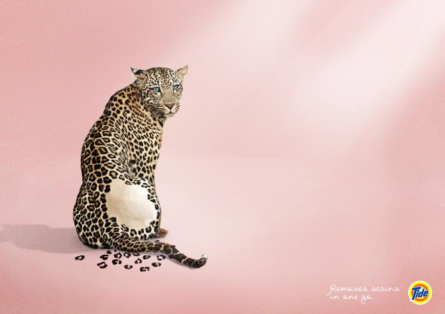 汰漬洗衣粉廣告創(chuàng)意設(shè)計(jì)3