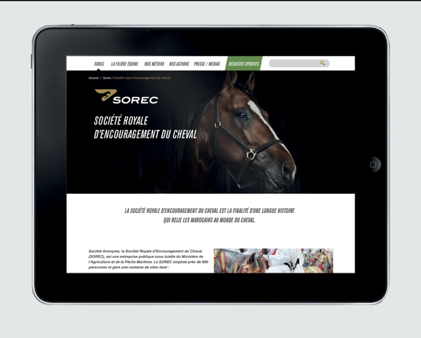 摩洛哥Sorec馬球馬術(shù)球會(huì)俱樂部品牌形象識(shí)別設(shè)計(jì)——網(wǎng)站設(shè)計(jì)