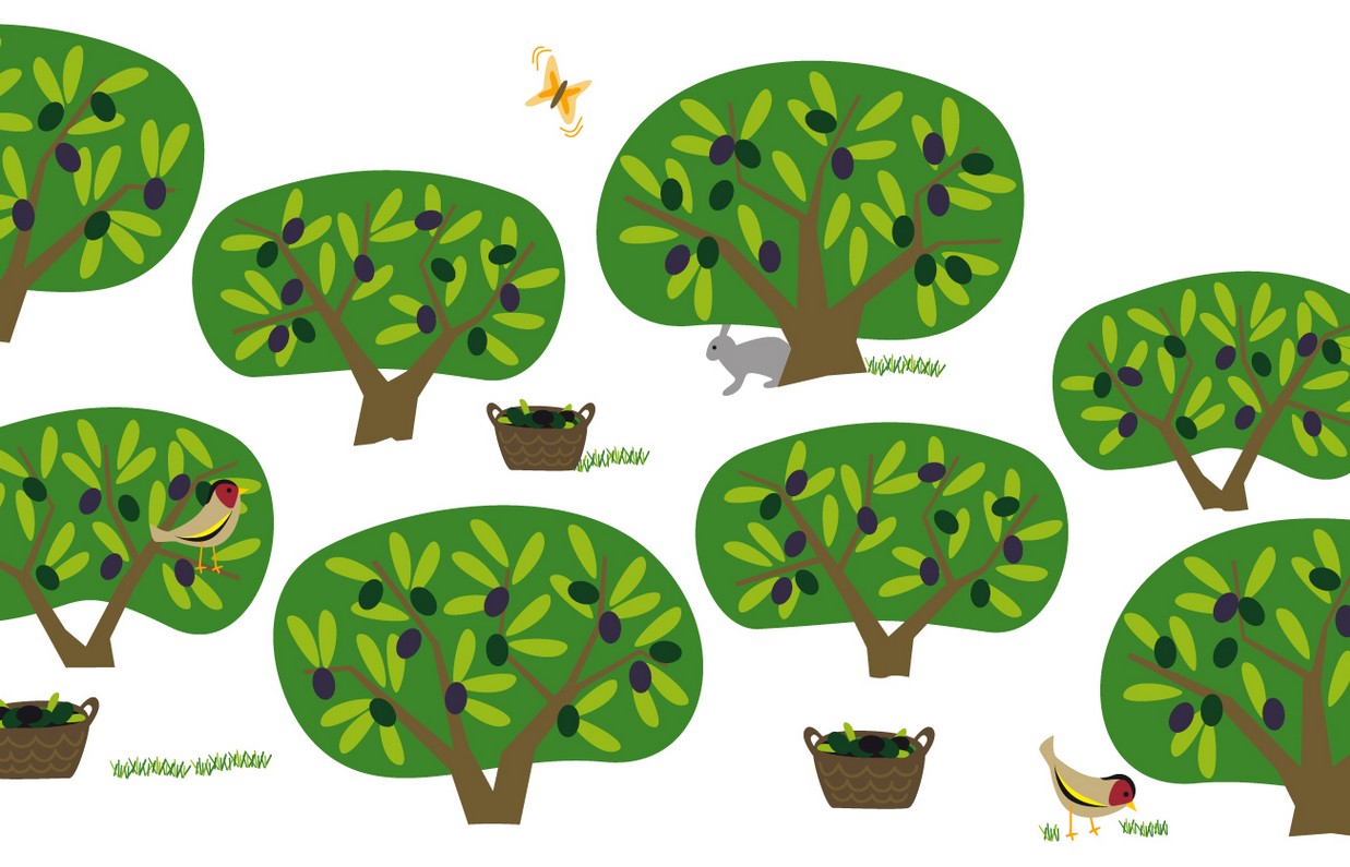 Melgarejo 特級(jí)初榨橄欖油包裝設(shè)計(jì)底圖-尚略包裝設(shè)計(jì)公司 Melgarejo 特級(jí)初榨橄欖油包裝設(shè)計(jì)底圖-尚略包裝設(shè)計(jì)公司