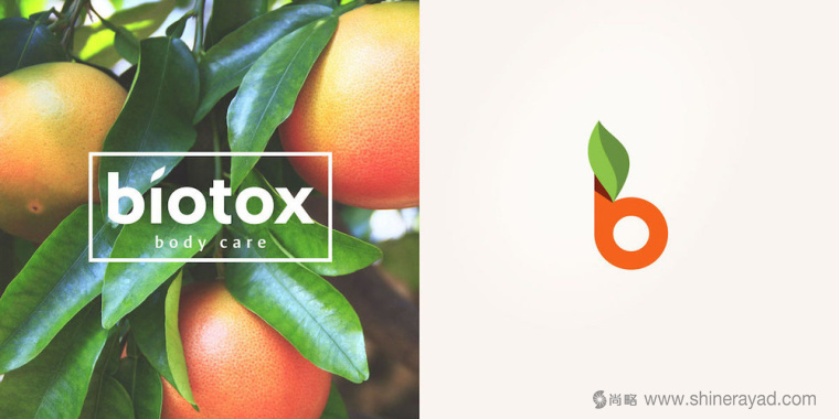 Biotox 天然水果有機(jī)護(hù)膚品標(biāo)志設(shè)計(jì)4 Biotox 天然水果有機(jī)護(hù)膚品標(biāo)志設(shè)計(jì)4
