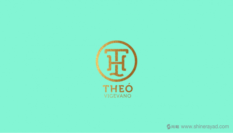 上海LOGO設(shè)計公司LOGO設(shè)計欣賞——THEO 女鞋女包LOGO設(shè)計1