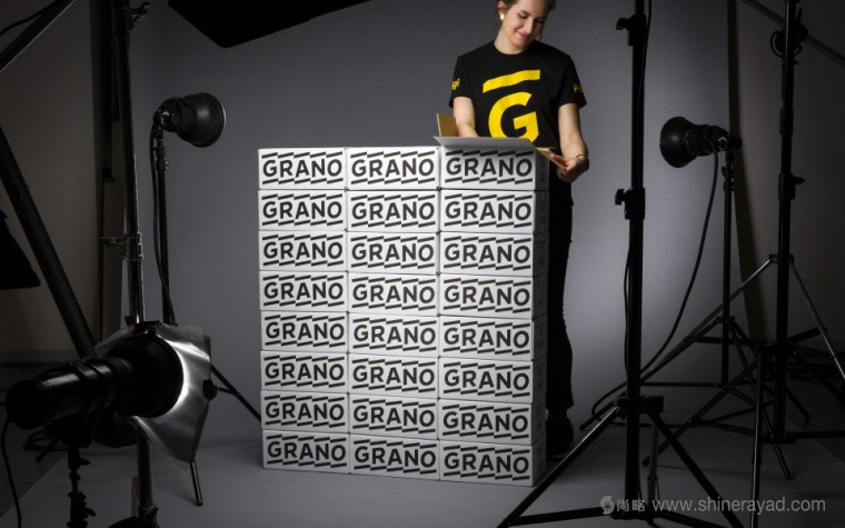 Grano 數(shù)字印刷公司IT科技品牌LOGO設(shè)計(jì)-上海LOGO設(shè)計(jì)公司設(shè)計(jì)鑒賞3