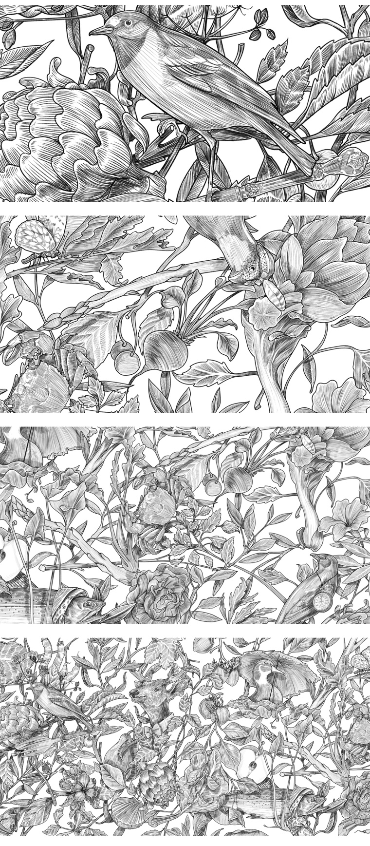 Botanique 餐廳植物鳥兒商業(yè)藝術(shù)插畫設(shè)計(jì)-上海品牌形象設(shè)計(jì)公司2