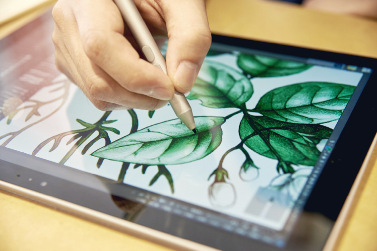 香圃芳香生活用品品牌手繪插畫設(shè)計(jì)25