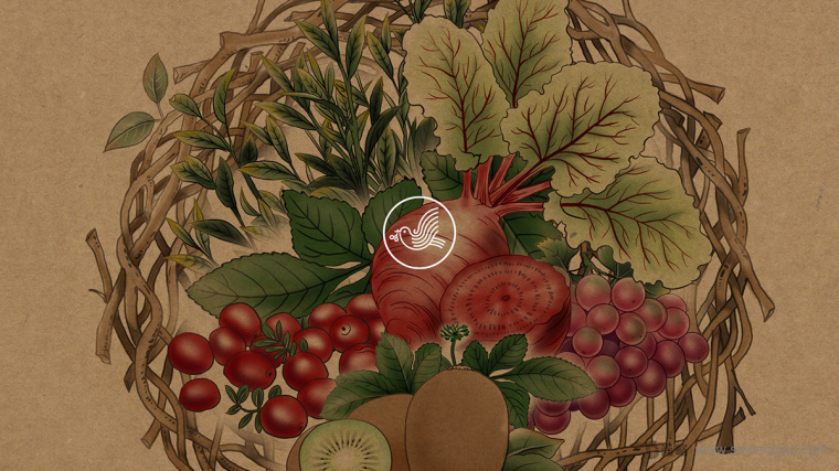 臺灣樂酶酵素包裝設(shè)計-上海包裝設(shè)計公司包裝佳作欣賞1 臺灣樂酶酵素包裝設(shè)計-上海包裝設(shè)計公司包裝佳作欣賞1