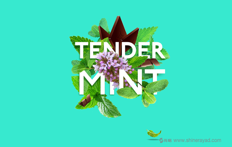 TRUE 花草口味巧克力包裝設(shè)計-上海食品包裝設(shè)計公司包裝設(shè)計品鑒3