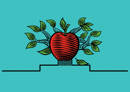 Cide蘋果酒梨子酒果酒包裝設(shè)計-水果插畫酒標(biāo)設(shè)計-上海包裝設(shè)計公司設(shè)計品鑒4 Cide蘋果酒梨子酒果酒包裝設(shè)計-水果插畫酒標(biāo)設(shè)計-上海包裝設(shè)計公司設(shè)計品鑒4