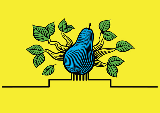 Cide蘋果酒梨子酒果酒包裝設(shè)計-水果插畫酒標(biāo)設(shè)計-上海包裝設(shè)計公司設(shè)計品鑒6 Cide蘋果酒梨子酒果酒包裝設(shè)計-水果插畫酒標(biāo)設(shè)計-上海包裝設(shè)計公司設(shè)計品鑒6