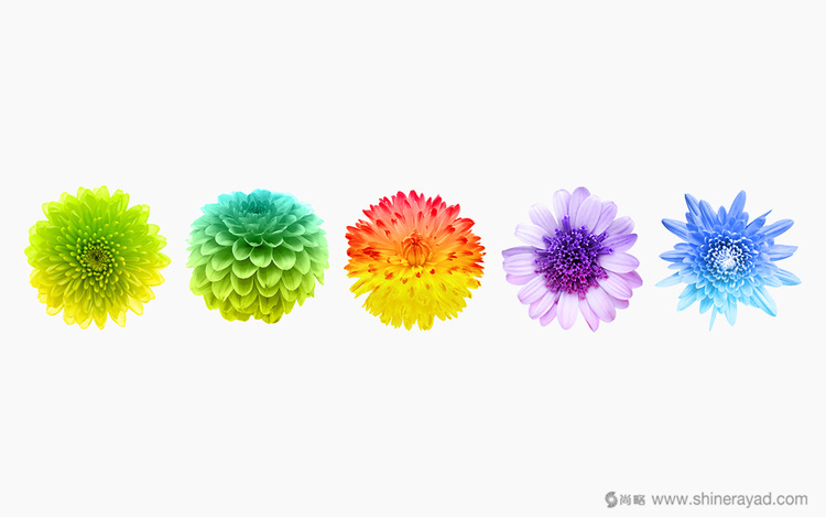 3上海包裝設(shè)計(jì)公司包裝欣賞-FOHATSU 日式花茶茶葉包裝設(shè)計(jì)-3 3上海包裝設(shè)計(jì)公司包裝欣賞-FOHATSU 日式花茶茶葉包裝設(shè)計(jì)-3