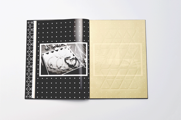 Erika Jayne 藝術(shù)攝影工作室燙金宣傳畫冊設(shè)計(jì)-上海畫冊設(shè)計(jì)公司佳作欣賞4
