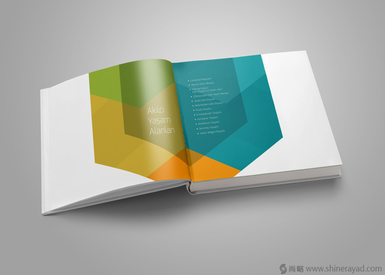 上海畫冊(cè)設(shè)計(jì)公司幾何圖形色塊畫冊(cè)設(shè)計(jì)版式欣賞-適合建筑咨詢IT科技行業(yè)和表現(xiàn)積極活力合作創(chuàng)新智慧的畫冊(cè)設(shè)計(jì)版式3