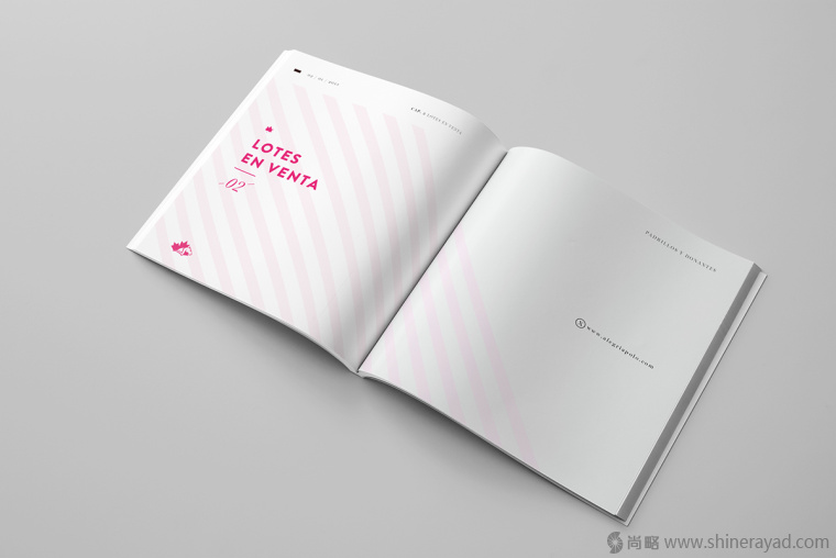 3.上海畫冊設計公司-Alegria 馬球協(xié)會宣傳畫冊設計欣賞