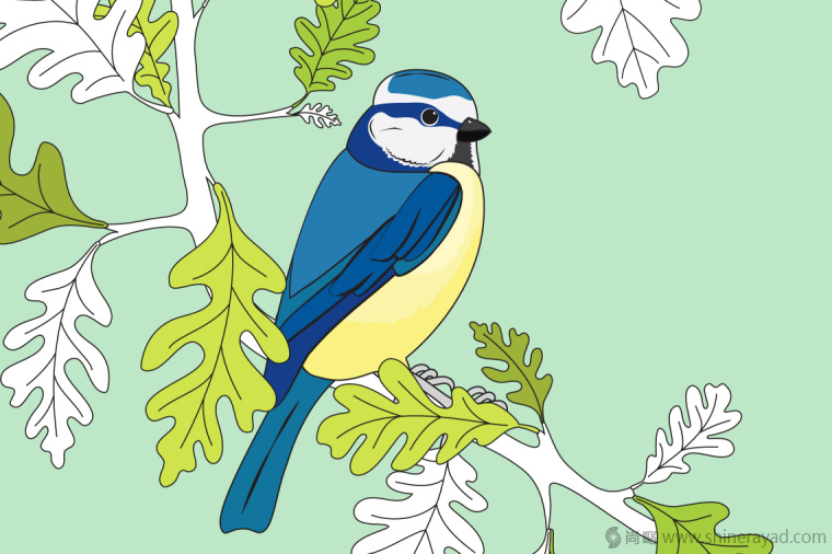 英國(guó)鳥類插畫設(shè)計(jì)-上海插畫設(shè)計(jì)公司-上海品牌設(shè)計(jì)公司1