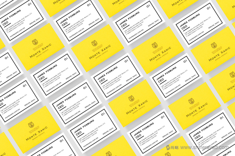 Monte Xanic 葡萄酒花朵商標設(shè)計品牌VI設(shè)計-上海品牌設(shè)計公司6