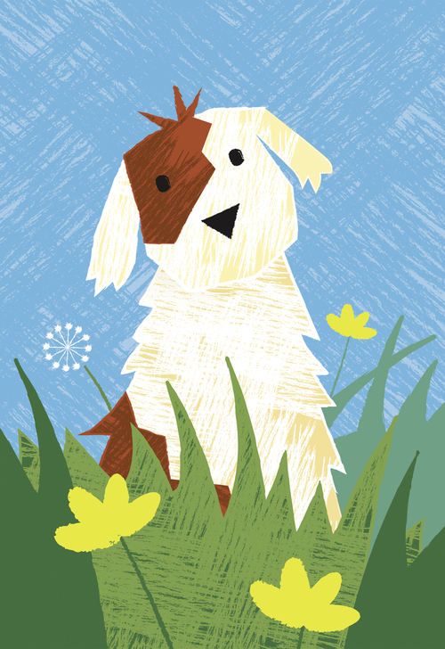 Bob Martin 寵物衛(wèi)生護理用品品牌春天系列包裝設(shè)計-上海包裝設(shè)計公司7 Bob Martin 寵物衛(wèi)生護理用品品牌春天系列包裝設(shè)計-上海包裝設(shè)計公司7