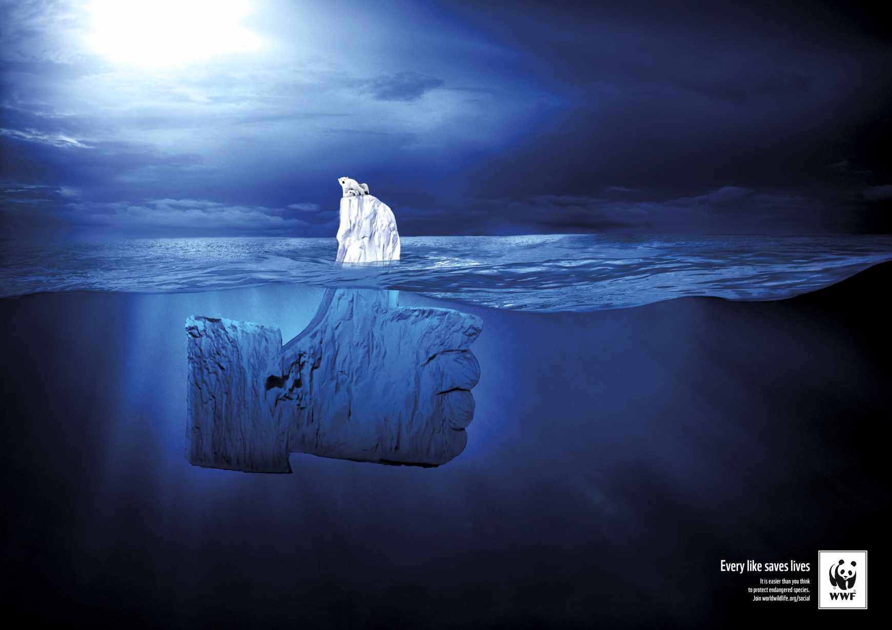 世界自然基金會(huì)WWF拯救北極熊創(chuàng)意平面廣告設(shè)計(jì)-支持篇