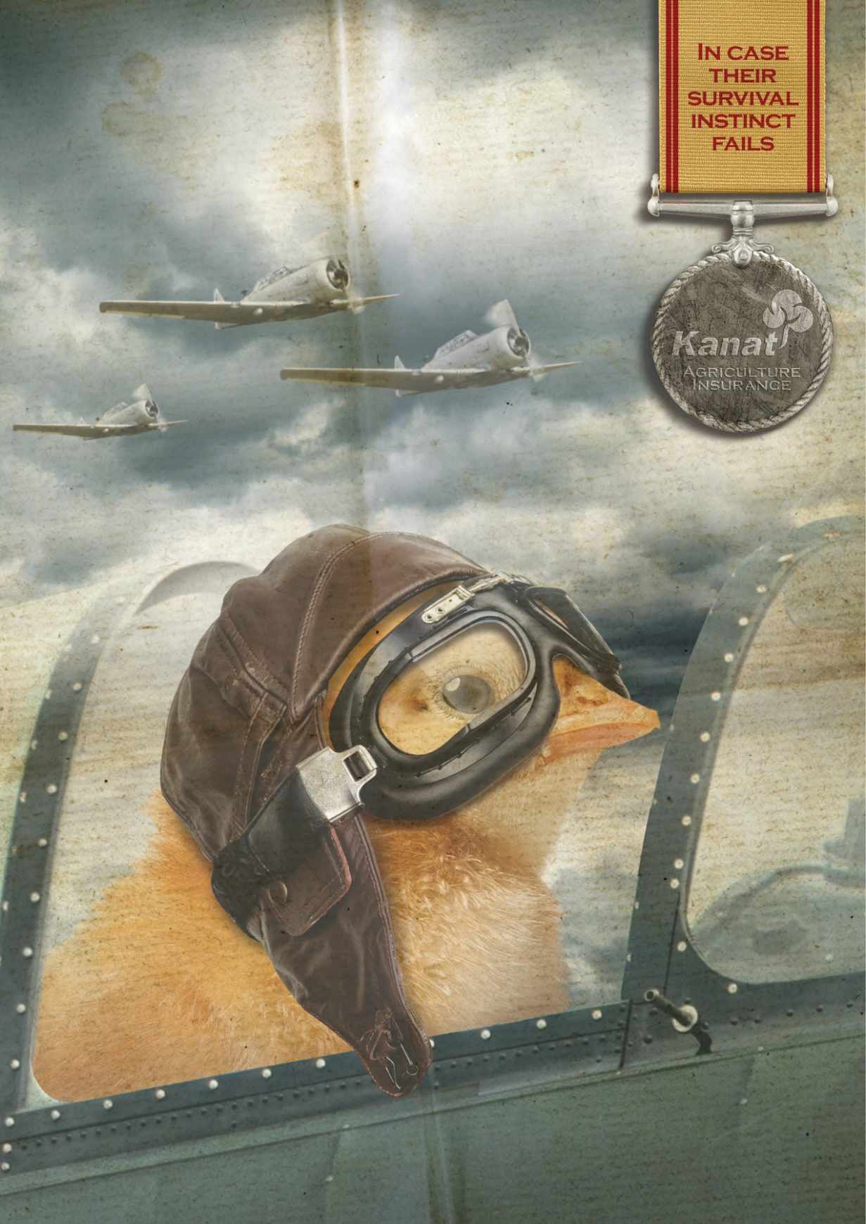 Kanat 農(nóng)業(yè)保險(xiǎn)平面創(chuàng)意廣告設(shè)計(jì)小雞篇-上海尚略廣告設(shè)計(jì)公司平面廣告分享