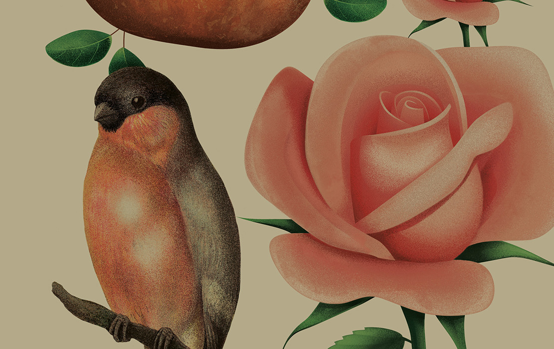 Pure Drops 紅酒包裝設(shè)計(jì)插畫版-上海包裝設(shè)計(jì)公司國外包裝設(shè)計(jì)欣賞8