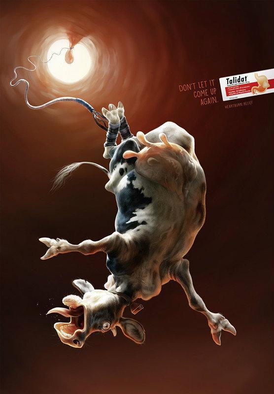Talidat胃藥動物篇廣告2-上海廣告設計公司 http://www.907632.com/