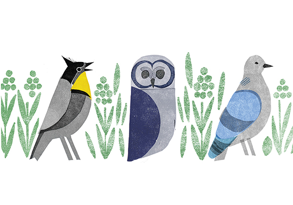 上海包裝設(shè)計(jì)公司分享TWEET 沖泡涼茶包裝設(shè)計(jì)-3