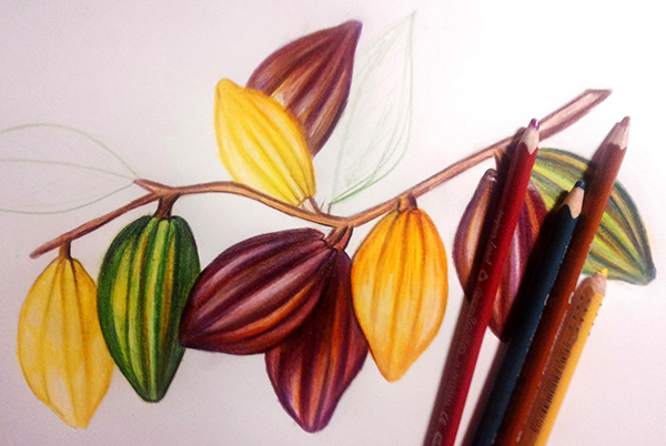 Phaos營養(yǎng)保養(yǎng)保健品品牌形象設計包裝設計2