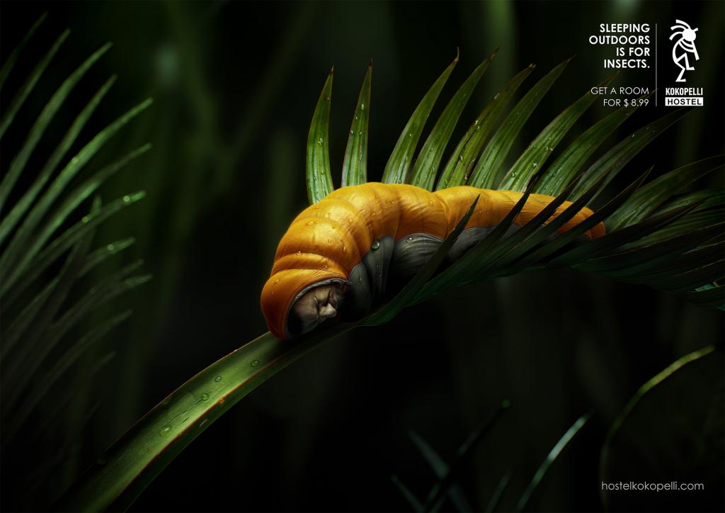 Kokopelli背包客旅館青蟲篇創(chuàng)意平面廣告設(shè)計-國外創(chuàng)意廣告欣賞2