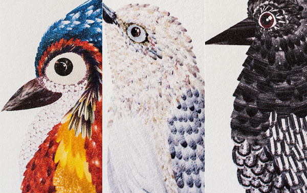 上海包裝設(shè)計公司分享 tre?tea 茶葉鳥系列包裝設(shè)計2