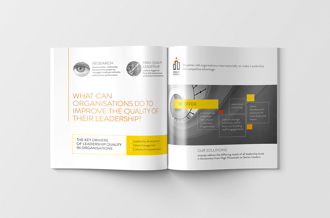 Bright 營銷咨詢公司品牌宣傳畫冊設(shè)計(jì)4 Bright 營銷咨詢公司品牌宣傳畫冊設(shè)計(jì)4