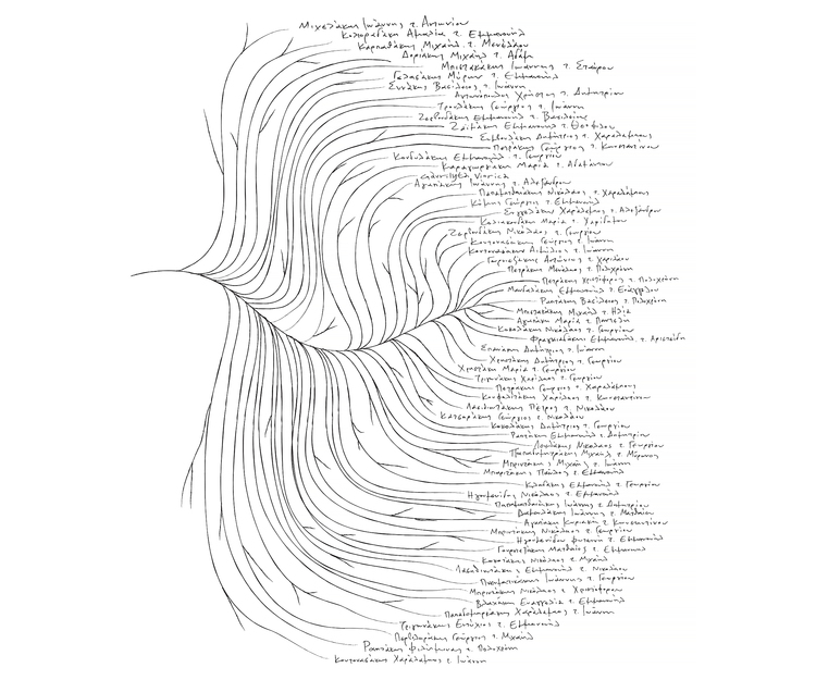 Viannos橄欖油樹形包裝設(shè)計主視覺圖形2