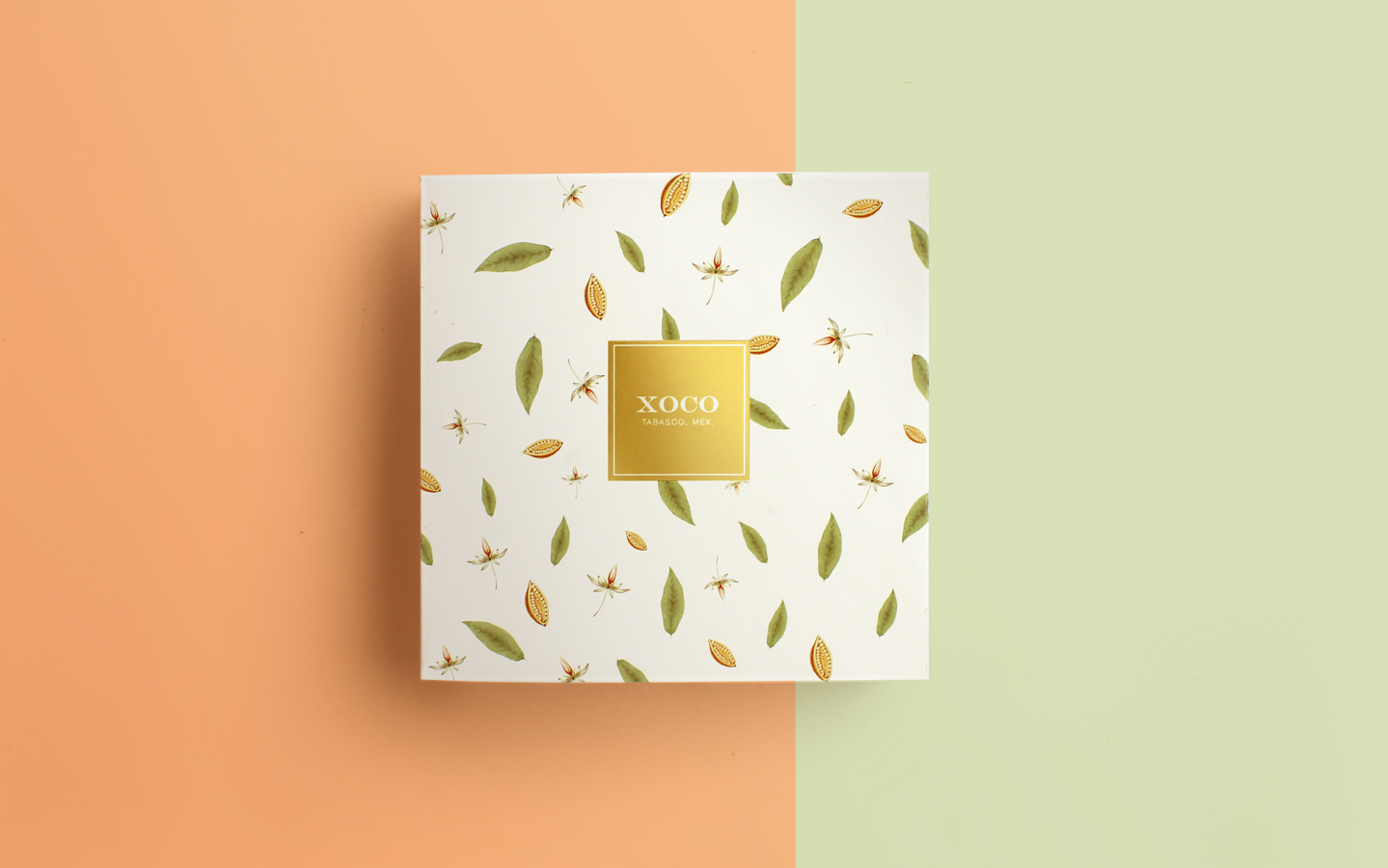 2.墨西哥XOCO巧克力葉子版包裝設(shè)計(jì)-上海包裝設(shè)計(jì)公司國外包裝設(shè)計(jì)欣賞