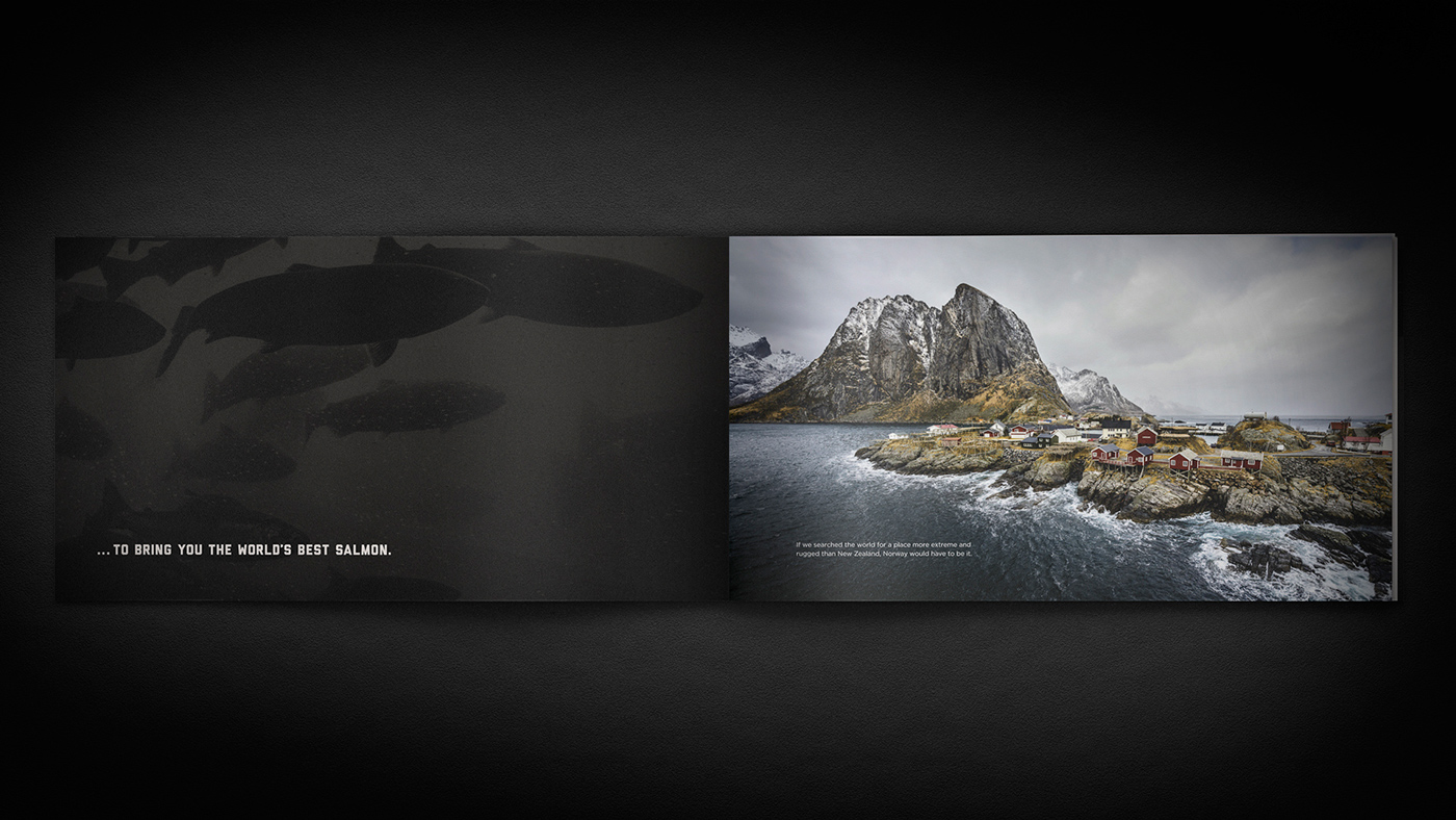 美國(guó)聯(lián)合漁業(yè)公司海鮮海魚畫冊(cè)設(shè)計(jì)3 美國(guó)聯(lián)合漁業(yè)公司海鮮海魚畫冊(cè)設(shè)計(jì)3