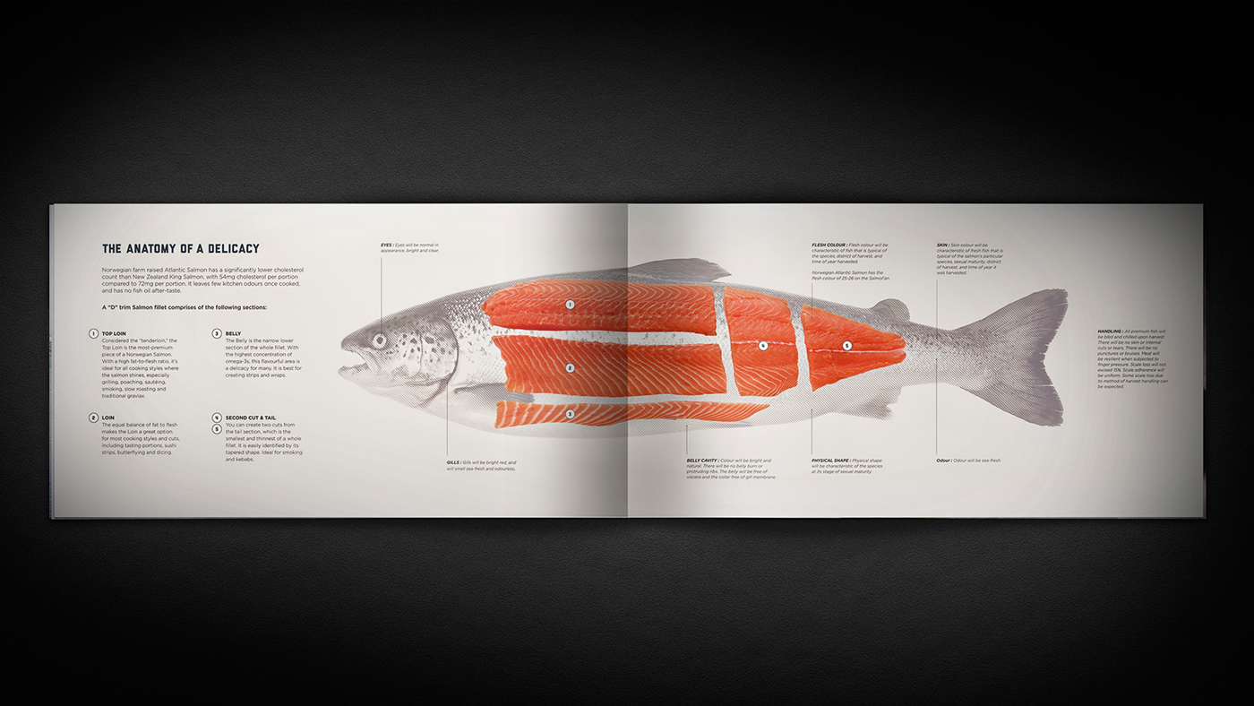 美國(guó)聯(lián)合漁業(yè)公司海鮮海魚畫冊(cè)設(shè)計(jì)7 美國(guó)聯(lián)合漁業(yè)公司海鮮海魚畫冊(cè)設(shè)計(jì)7