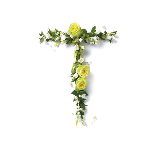 T花卉字母 T花卉字母