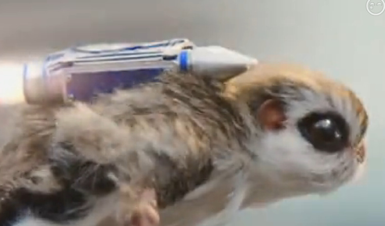 上海策劃公司分享McVities休閑食品飛鼠篇影視廣告欣賞2 上海策劃公司分享McVities休閑食品飛鼠篇影視廣告欣賞2