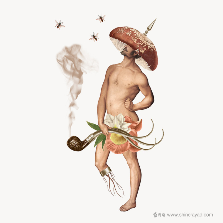 澳大利亞StrangeLove 能量飲料包裝設計-上海包裝設計公司國外包裝設計欣賞1 澳大利亞StrangeLove 能量飲料包裝設計-上海包裝設計公司國外包裝設計欣賞1