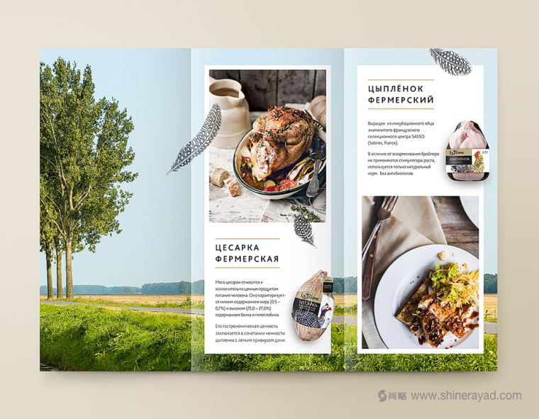 La Ferme農(nóng)場(chǎng)雞肉及家禽產(chǎn)品宣傳冊(cè)設(shè)計(jì)1