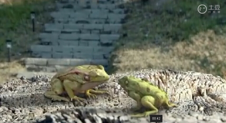 Twistos健康休閑食品影視廣告截圖-上海廣告策劃公司2 Twistos健康休閑食品影視廣告截圖-上海廣告策劃公司2