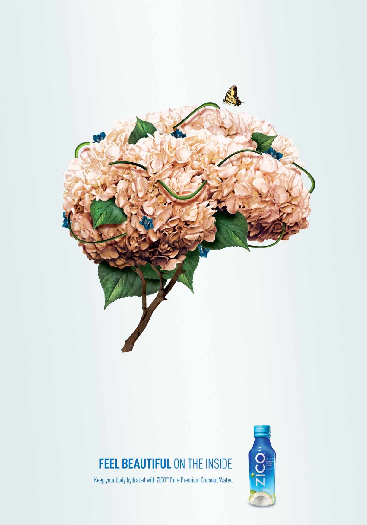Zico 椰子水飲料創(chuàng)意平面廣告設計感受內在之美篇-大腦篇-上海廣告設計公司-上海平面設計公司3