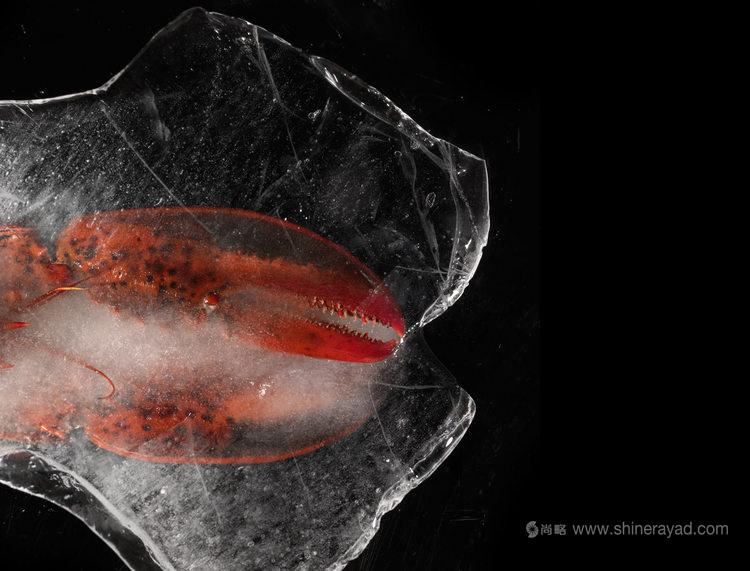 龍蝦大師品牌包裝設(shè)計(jì)龍蝦圖片設(shè)計(jì)-上海包裝設(shè)計(jì)公司3