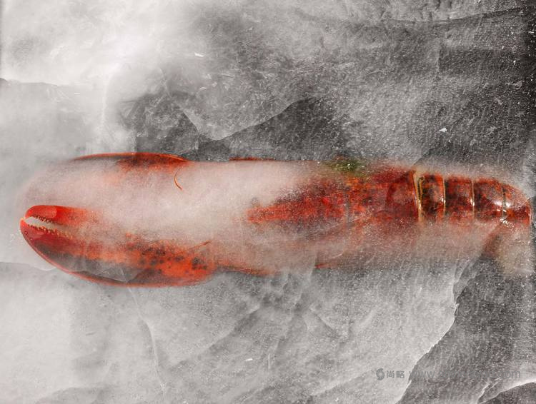 龍蝦大師品牌包裝設(shè)計(jì)龍蝦圖片設(shè)計(jì)-上海包裝設(shè)計(jì)公司5