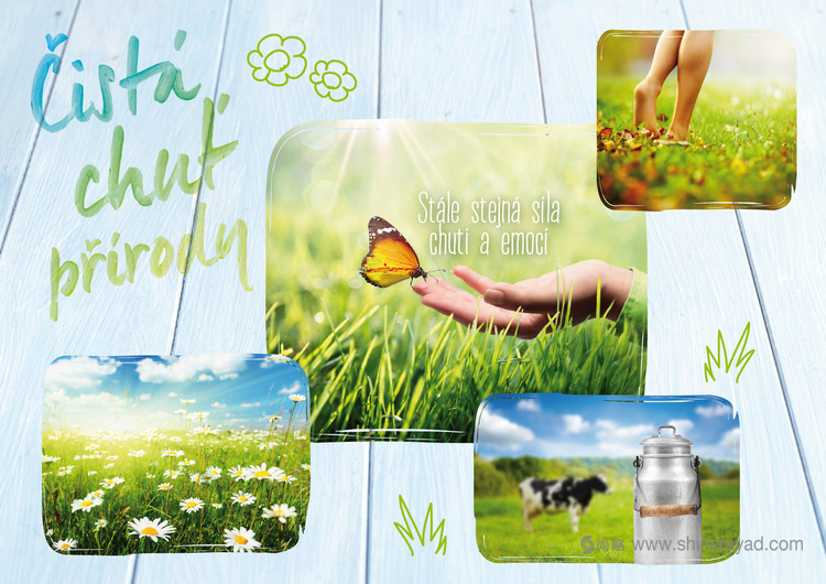 國外包裝設(shè)計(jì)欣賞-Lu?ina 藍(lán)瓊纓奶油奶酪包裝設(shè)計(jì)6 國外包裝設(shè)計(jì)欣賞-Lu?ina 藍(lán)瓊纓奶油奶酪包裝設(shè)計(jì)6