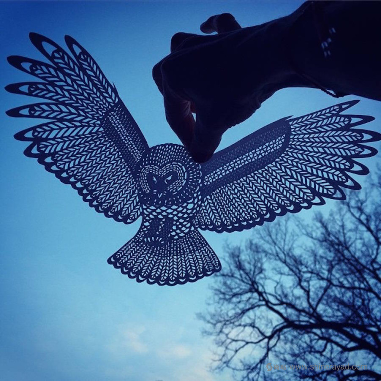 老鷹-動(dòng)物剪紙藝術(shù)與剪紙攝影圖片-上海平面創(chuàng)意設(shè)計(jì)公司藝術(shù)鑒賞1