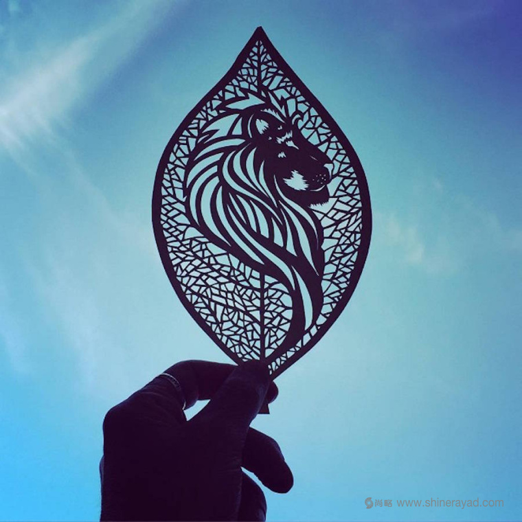 老鷹-動(dòng)物剪紙藝術(shù)與剪紙攝影圖片-上海平面設(shè)計(jì)公司創(chuàng)意藝術(shù)鑒賞9