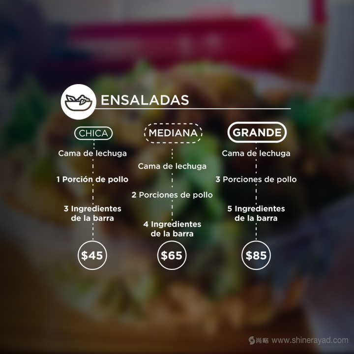 Quick Salads 沙拉有機(jī)素食餐廳VI設(shè)計(jì)8-餐廳菜單價目表設(shè)計(jì)